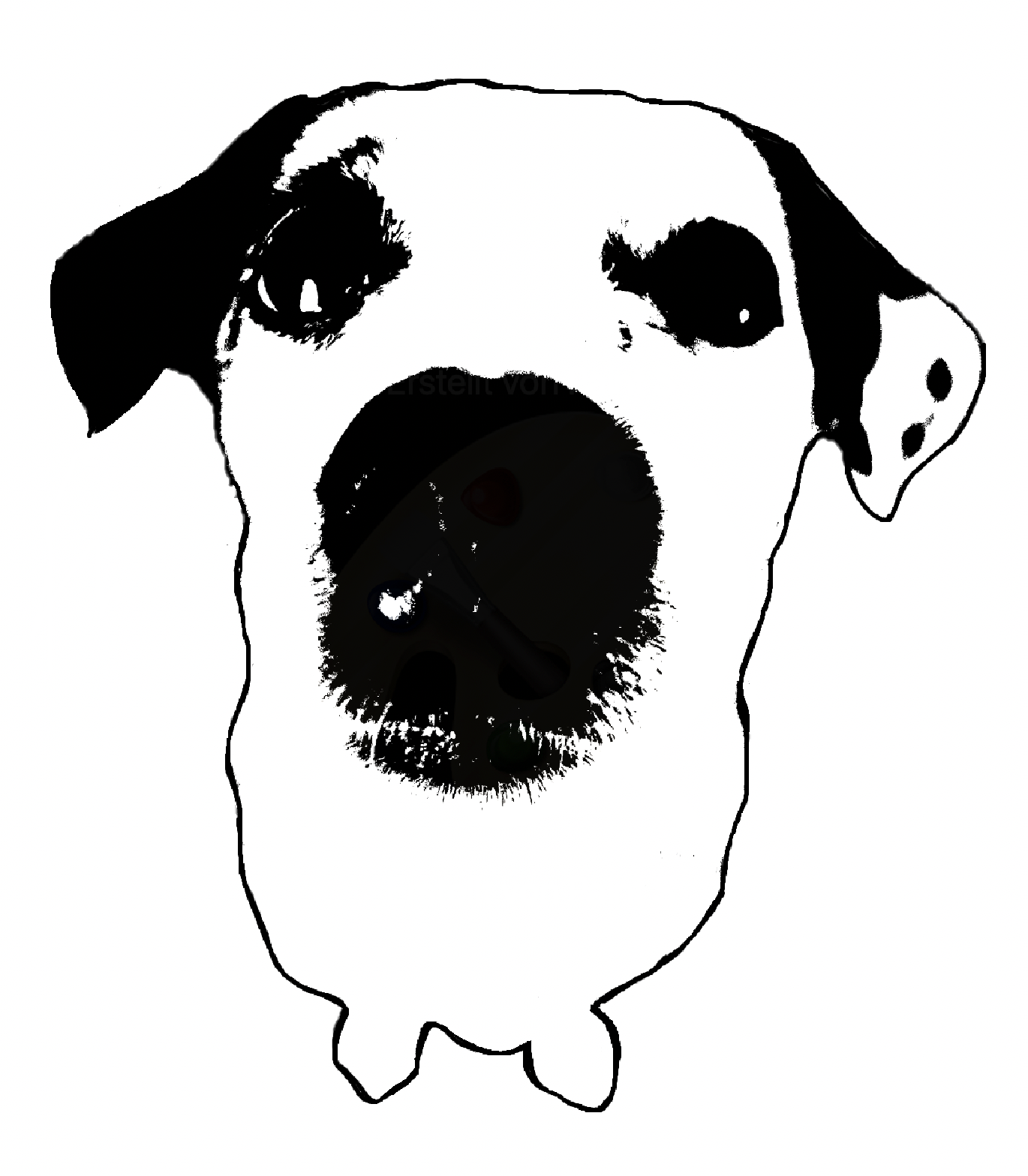 FeliFlitz Logo